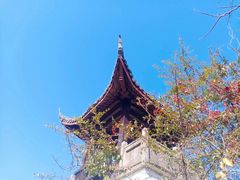 -云栖竹径