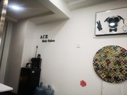 -ACE造型