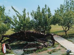 -莫子山公园