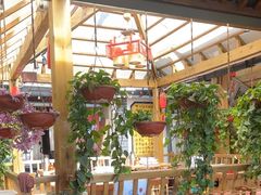 -有一锅·野生菌黑山羊腊排骨火锅(古城北门店)