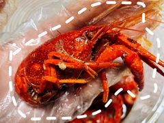 -地摊风云龙虾烧烤铺(裕民店)