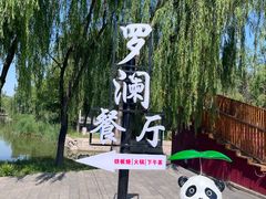 -稻香湖公园