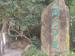 -深圳仙湖植物园