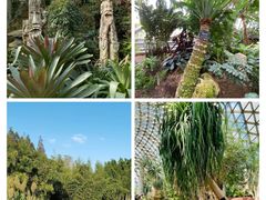 -上海辰山植物园
