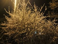 -VS SPORTS PARK运动玩乐园·团建·生日会(合生汇店)