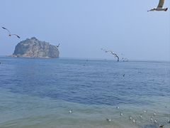 -棒棰岛宾馆景区