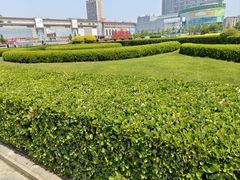 -大连双兴商品城