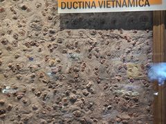 -湖南省地质博物馆