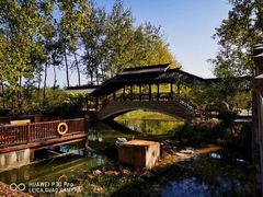 -合肥滨湖国家森林公园