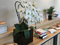 -五峰书院(南洋泾路店)