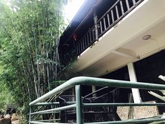-汕尾莲花山温泉度假村