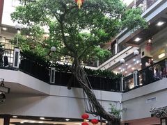 -广州酒家(文昌总店)