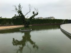 -上海长江河口科技馆