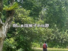 -巴哥国家公园