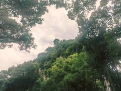 -桂林独秀峰王城景区