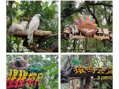 -广州长隆野生动物世界