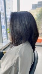 -世田造型