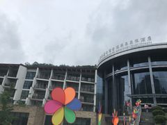 -中铁花水湾温泉酒店(大邑店)