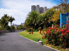 -碧桂园十里银滩