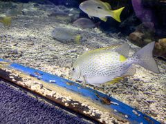 -太平洋海底世界