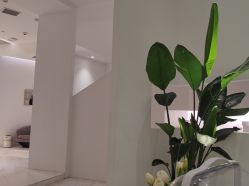 -微笑雨嘉造型护肤