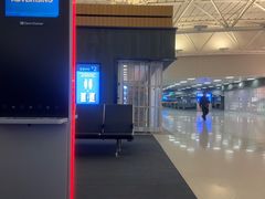 -约翰·菲茨杰拉德·肯尼迪国际机场