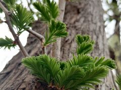 -中关村生命科学园