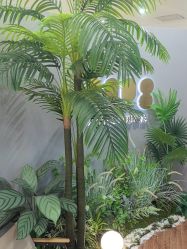 -八佰伴8008星级形象店