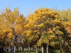 -四里河滨水生态公园