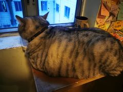 -H立方实景剧情密室(天河旗舰店)
