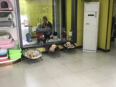 -嘟宝宠物生活馆(白桦林居店)