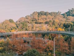 -福道