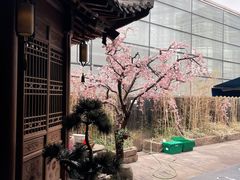 -桂满陇天书(南京德基旗舰店)