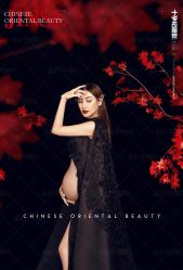 点击看大图 -十孕纪高端孕妇亲子摄影