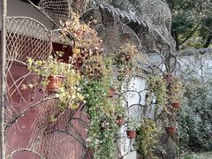 -夏河溪乡野公园