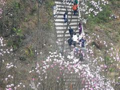 -九皇山景区