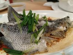 清蒸斑鱼-海晖酒楼·顺德鱼生(荣华店)