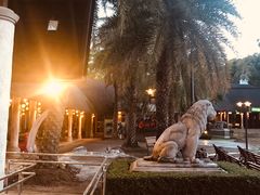 -清迈夜间动物园