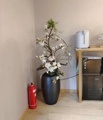 -酉嘉瑜伽YO+YOGA