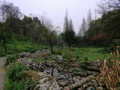 -重庆彩云湖湿地公园