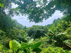 -梧桐山风景名胜区