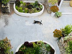 -唐咖精品咖啡(大理古城手冲店)