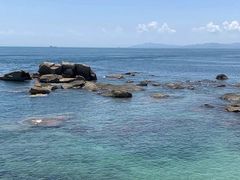 -南澳岛打卡果汁冰公司
