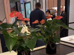 -新旺茶餐厅·早餐·夜宵(仙霞店)