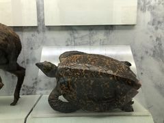 -杭州胡庆余堂第二中医门诊部