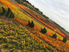 -酒仙湖景区