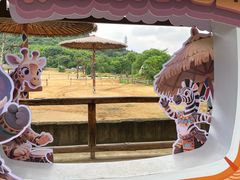 -杭州野生动物世界