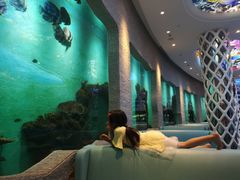 -瑞德姆美人鱼海底演艺主题餐厅(亚龙湾店)