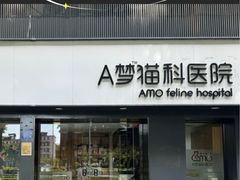 -御宝贝·A梦猫科宠物医院(国际猫友好医院)