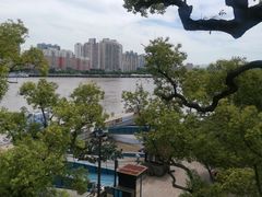 -江心屿景区